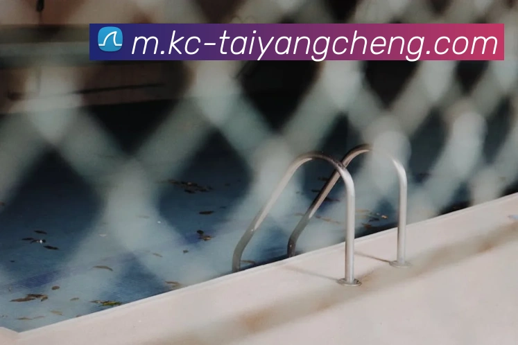 太阳城网站平台生态图