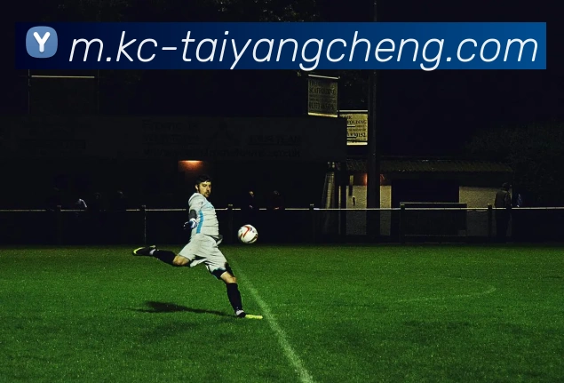 数据防护可视化